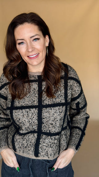 Keep It in Check Cropped Sweater